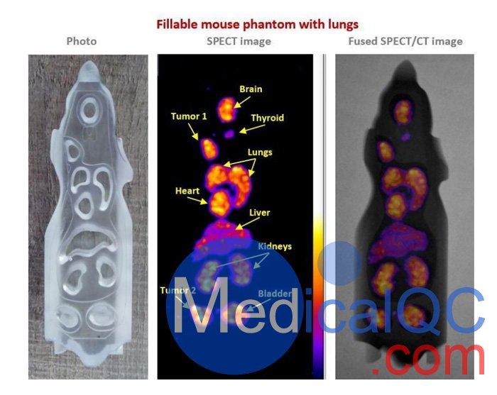 BIOEMTECH可填充鼠模型,PET/SPECT鼠模模体，Mouse / Rat模体