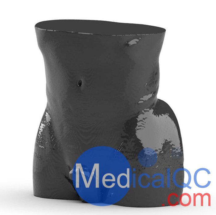 WEK-5501男性腹部模体，WEK-5501男性骨盘模体