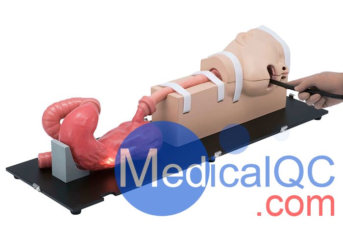 LM-103胃肠镜模拟器，LM-103胃肠模体，EGD模拟器