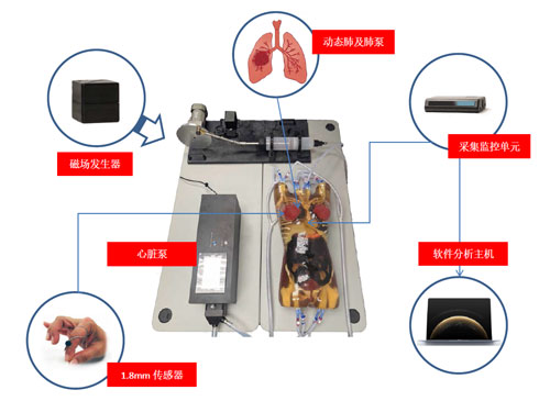WEK-RLFMA02活动肿瘤靶模拟及定位系统，WEK-RLFMA02呼吸运动模体