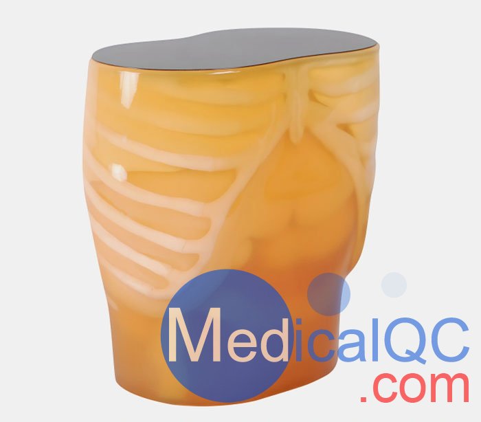 PH-5 CT腹部模体，CT腹部模型PH-5,PH-5多能CT腹部模体