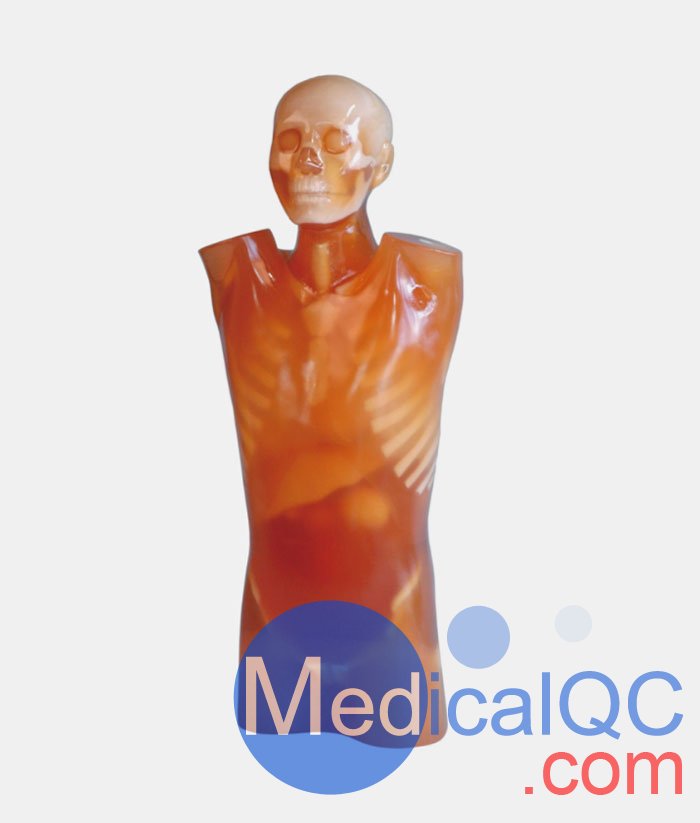 CTU-41 CT躯干模体,PH-4 CT躯干模型,CT人体躯干模型PH-4