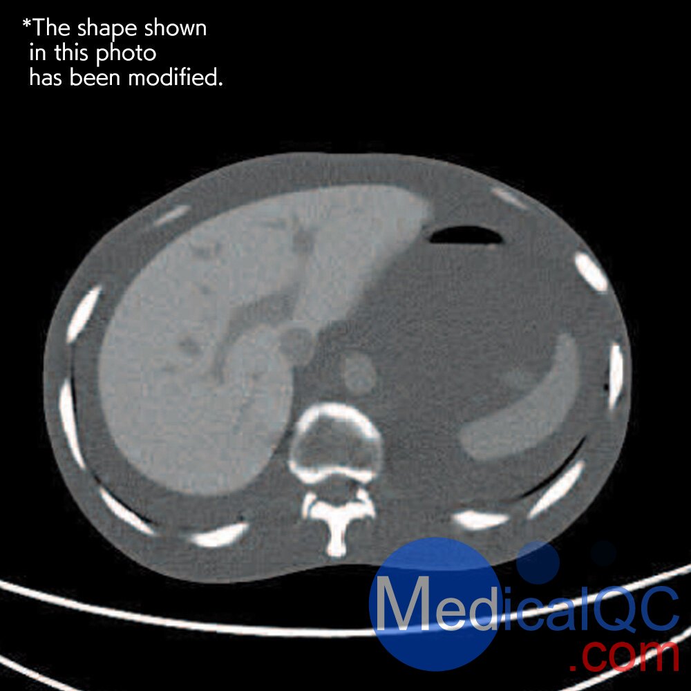 CTU-41 CT躯干模体,PH-4 CT躯干模型,CT人体躯干模型PH-4成像效果
