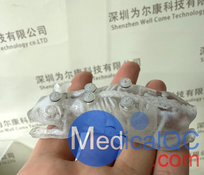 BioMouse模体,BioMouse小鼠模型，Phantech Bio-Mouse多功能小鼠模体产品实物图