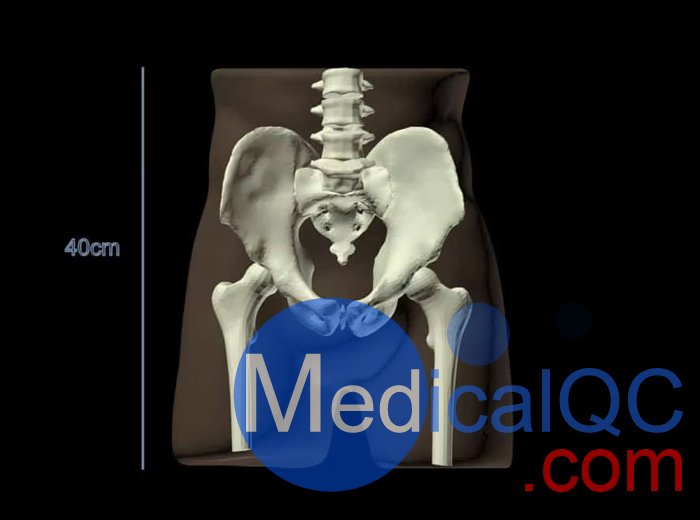 PE-A01腹部模体，PE-A01成人骨盆模型设计图