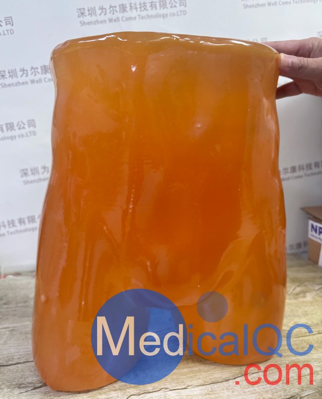 PE-A01腹部模体，PE-A01成人骨盆模型产品实物图