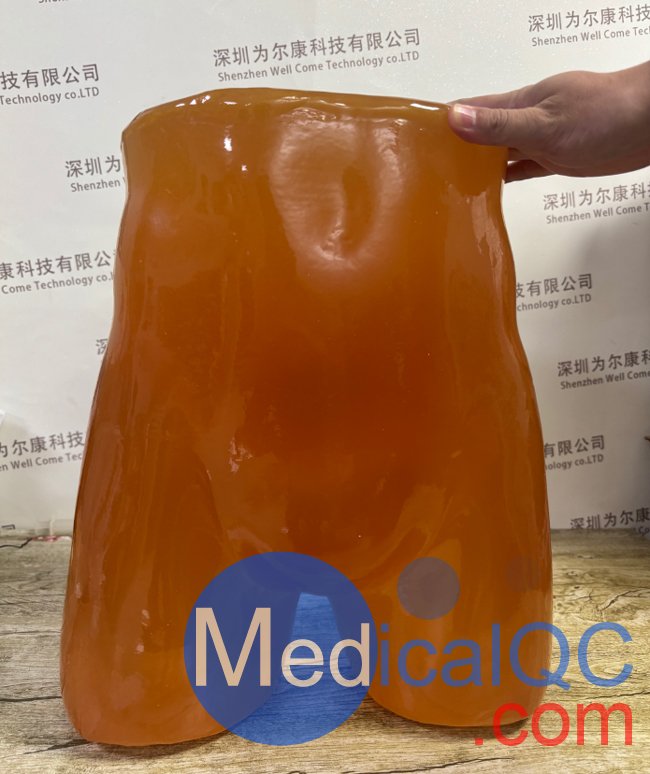 PE-A01腹部模体，PE-A01成人骨盆模型产品实物图