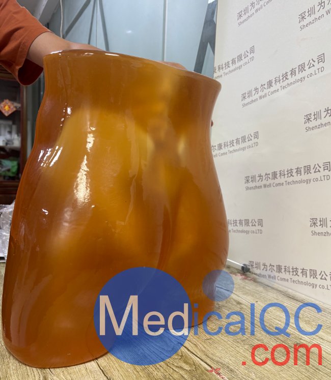 PE-A01腹部模体，PE-A01成人骨盆模型产品实物图